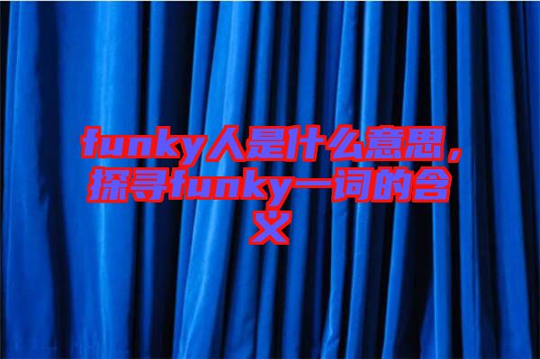 funky人是什么意思，探尋funky一詞的含義
