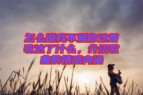 怎么說我不愛你這首歌達了什么，介紹歌曲的情感內涵