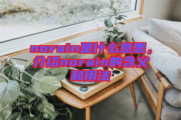 norain是什么意思，介紹norain的含義和用法