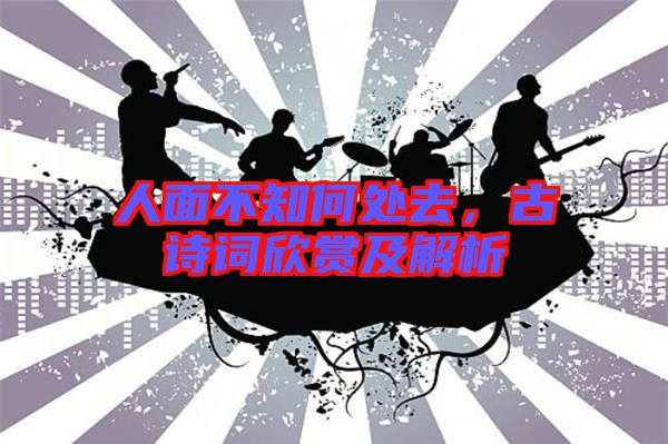 人面不知何處去，古詩詞欣賞及解析