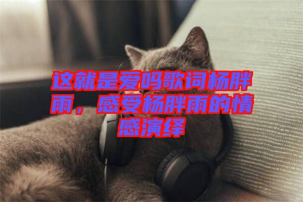 這就是愛(ài)嗎歌詞楊胖雨，感受楊胖雨的情感演繹