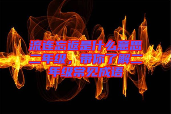 流連忘返是什么意思二年級，帶你了解二年級常見成語