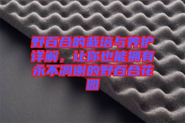 野百合的栽培與養(yǎng)護(hù)詳解，讓你也能擁有永不凋謝的野百合花園