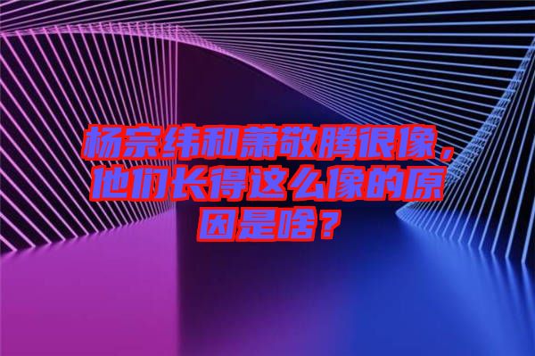 楊宗緯和蕭敬騰很像，他們長得這么像的原因是啥？
