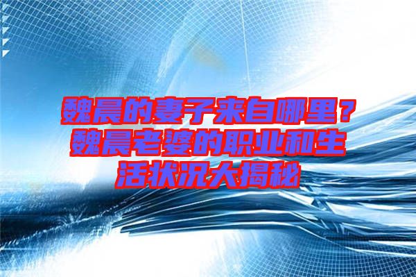 魏晨的妻子來自哪里？魏晨老婆的職業(yè)和生活狀況大揭秘