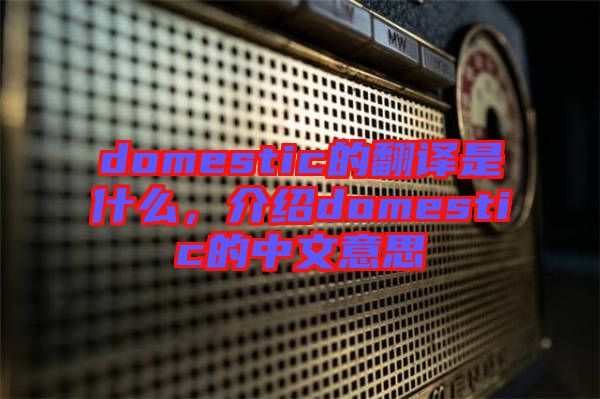domestic的翻譯是什么，介紹domestic的中文意思