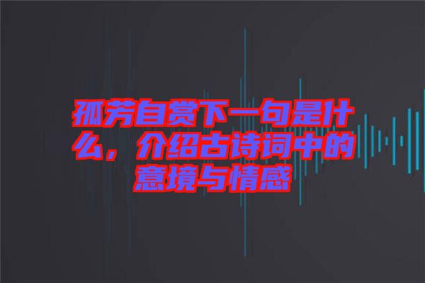孤芳自賞下一句是什么，介紹古詩(shī)詞中的意境與情感