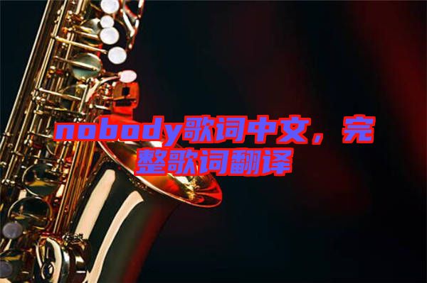 nobody歌詞中文，完整歌詞翻譯