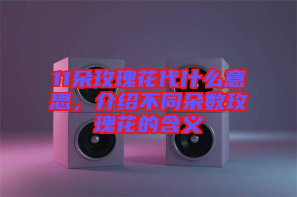 11朵玫瑰花代什么意思，介紹不同朵數(shù)玫瑰花的含義