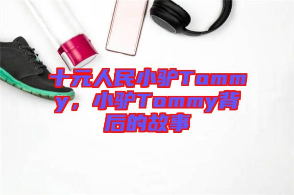 十元人民小驢Tommy，小驢Tommy背后的故事