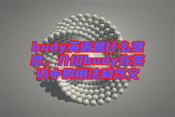 budy英語(yǔ)是什么意思，介紹budy在英語(yǔ)中的用法和含義