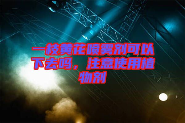 一枝黃花噴霧劑可以下去嗎，注意使用植物劑