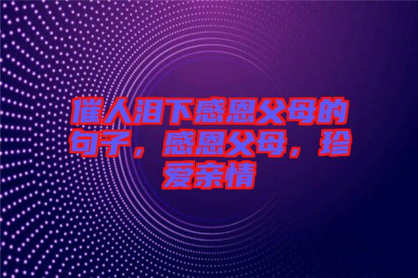 催人淚下感恩父母的句子，感恩父母，珍愛親情