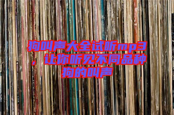 狗叫聲大全試聽mp3，讓你聽見不同品種狗的叫聲
