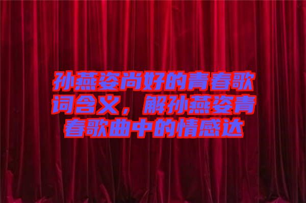 孫燕姿尚好的青春歌詞含義，解孫燕姿青春歌曲中的情感達(dá)