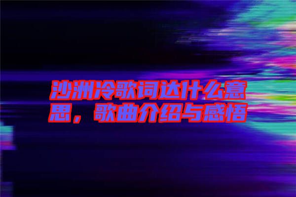 沙洲冷歌詞達(dá)什么意思，歌曲介紹與感悟