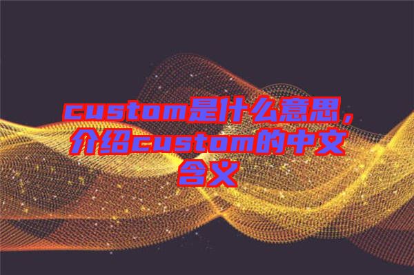 custom是什么意思，介紹custom的中文含義