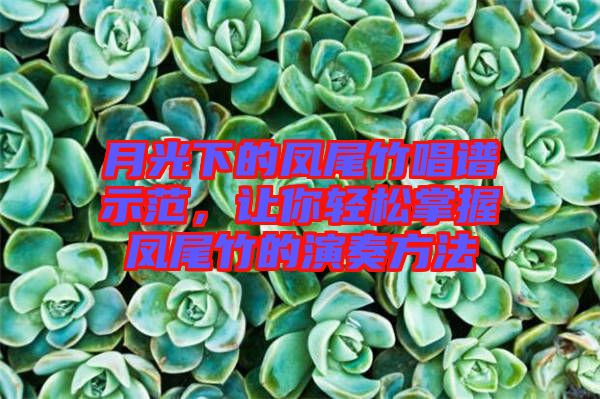月光下的鳳尾竹唱譜示范，讓你輕松掌握鳳尾竹的演奏方法