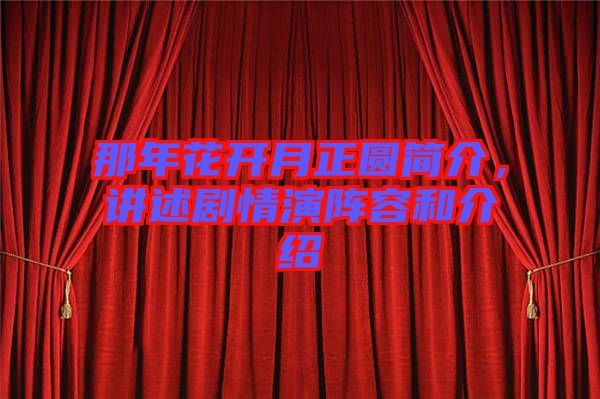 那年花開月正圓簡介，講述劇情演陣容和介紹