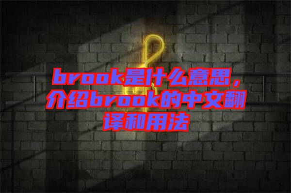 brook是什么意思，介紹brook的中文翻譯和用法