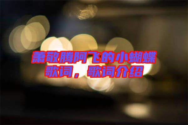 蕭敬騰阿飛的小蝴蝶歌詞，歌詞介紹