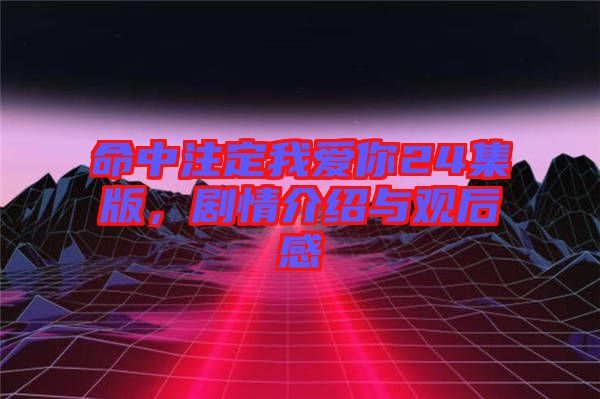 命中注定我愛你24集版，劇情介紹與觀后感