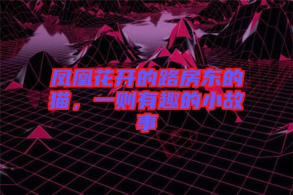 鳳凰花開的路房東的貓，一則有趣的小故事