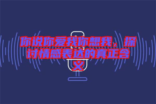 你說你愛我你想我，探討情感表達(dá)的真正含義