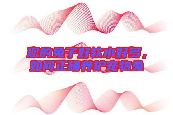 您的兔子好軟水好多，如何正確養(yǎng)護(hù)寵物兔