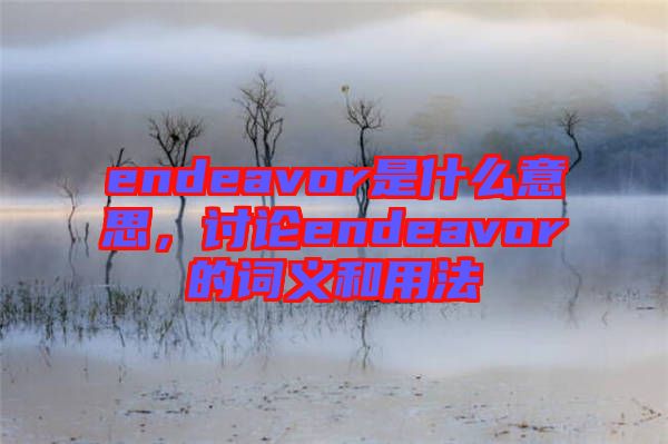 endeavor是什么意思，討論endeavor的詞義和用法