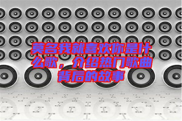 莫名我就喜歡你是什么歌，介紹熱門歌曲背后的故事