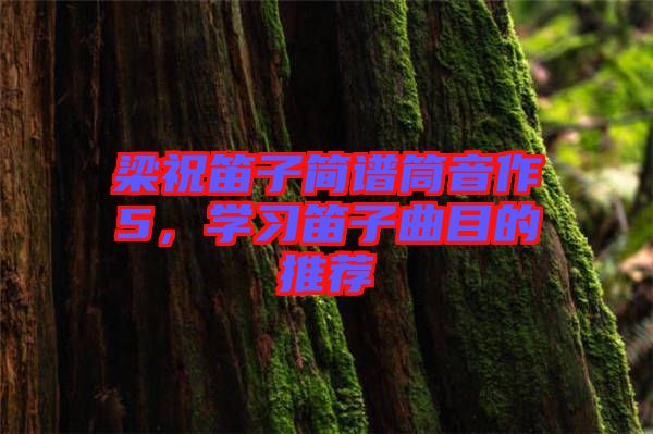 梁祝笛子簡譜筒音作5，學(xué)習(xí)笛子曲目的推薦