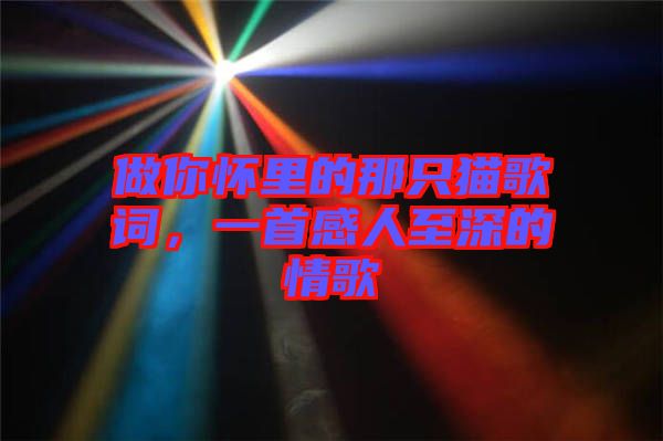 做你懷里的那只貓歌詞，一首感人至深的情歌