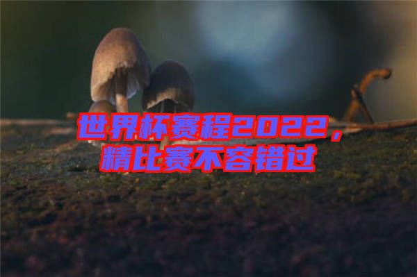世界杯賽程2022，精比賽不容錯(cuò)過(guò)