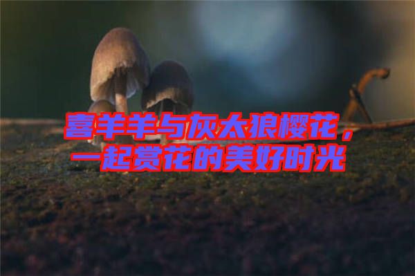 喜羊羊與灰太狼櫻花，一起賞花的美好時(shí)光