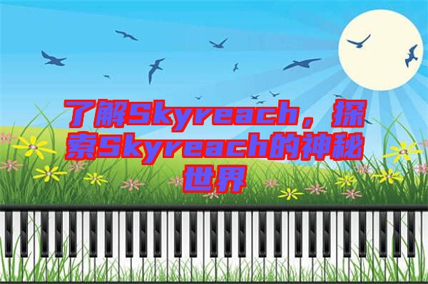 了解Skyreach，探索Skyreach的神秘世界
