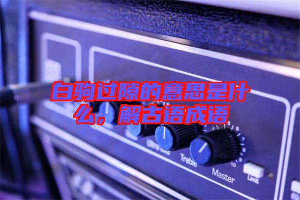 白駒過隙的意思是什么，解古語成語