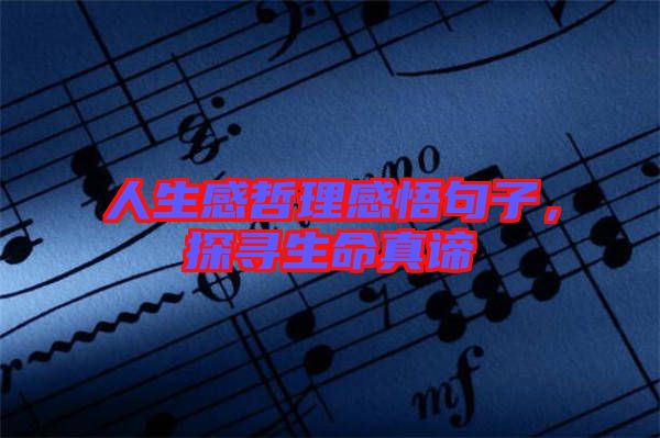 人生感哲理感悟句子，探尋生命真諦