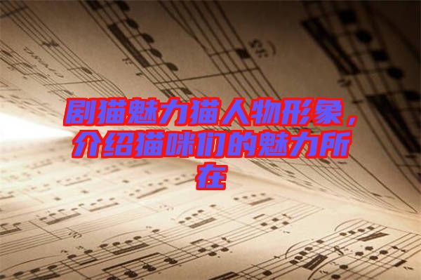 劇貓魅力貓人物形象，介紹貓咪們的魅力所在