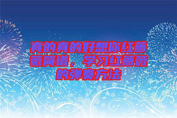 真的真的好想你紅薔薇簡(jiǎn)譜，學(xué)習(xí)紅薔薇的彈奏方法