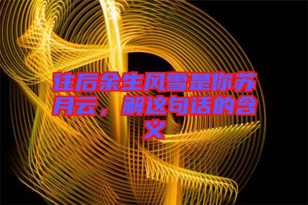 往后余生風雪是你蘇月云，解這句話的含義