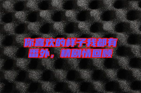 你喜歡的樣子我都有番外，精劇情回顧