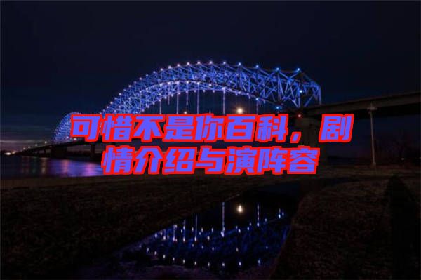 可惜不是你百科，劇情介紹與演陣容