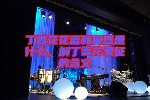 丁香花花語和寓意是什么，解丁香花象征的含義