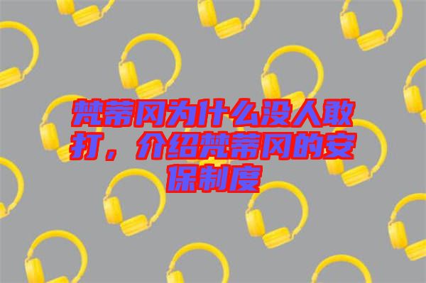 梵蒂岡為什么沒(méi)人敢打，介紹梵蒂岡的安保制度