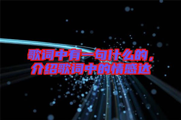 歌詞中有一句什么的，介紹歌詞中的情感達(dá)