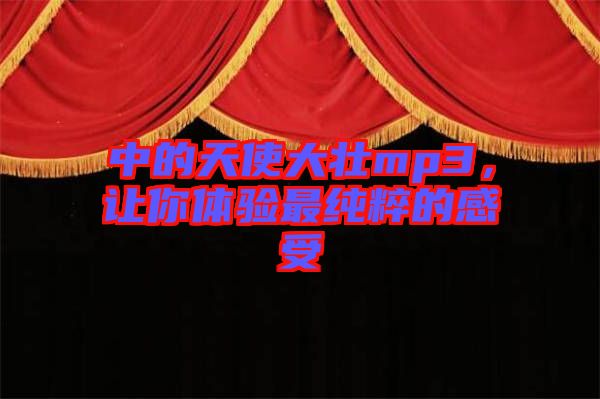 中的天使大壯mp3，讓你體驗(yàn)最純粹的感受