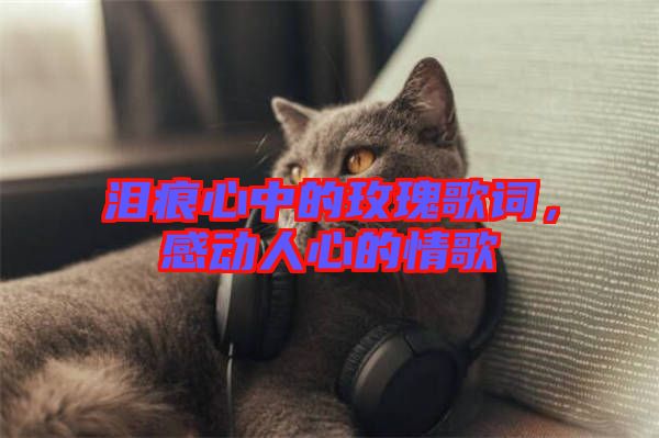 淚痕心中的玫瑰歌詞，感動人心的情歌
