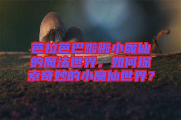 芭拉芭巴啦啦小魔仙的魔法世界，如何探索奇妙的小魔仙世界？