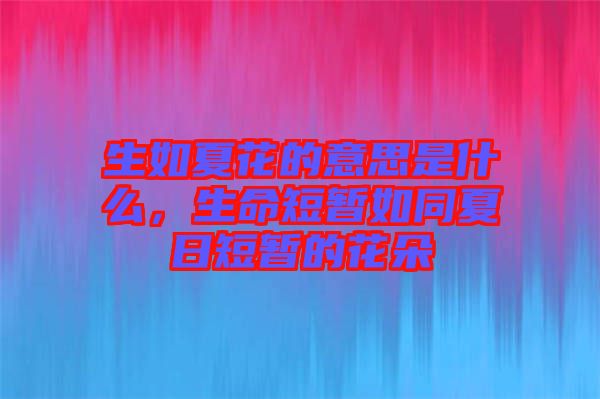 生如夏花的意思是什么，生命短暫如同夏日短暫的花朵